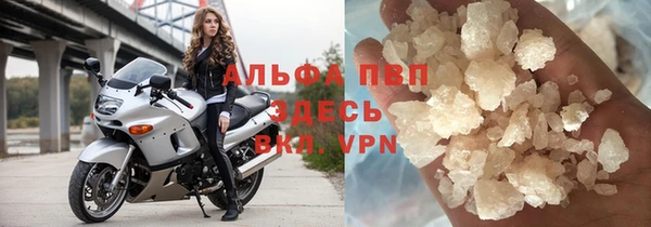 ПСИЛОЦИБИНОВЫЕ ГРИБЫ Белоозёрский