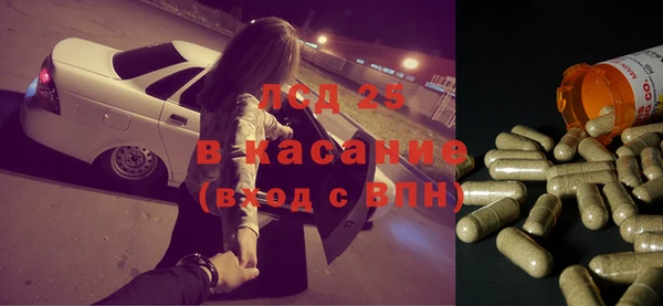 ПСИЛОЦИБИНОВЫЕ ГРИБЫ Белоозёрский