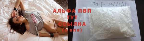 стафф Беломорск