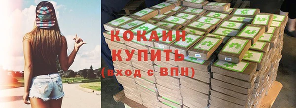 ПСИЛОЦИБИНОВЫЕ ГРИБЫ Белоозёрский